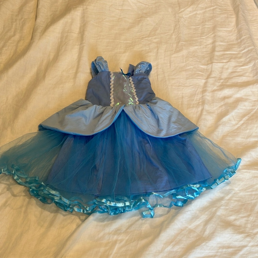 Blue Princess Kids Costume